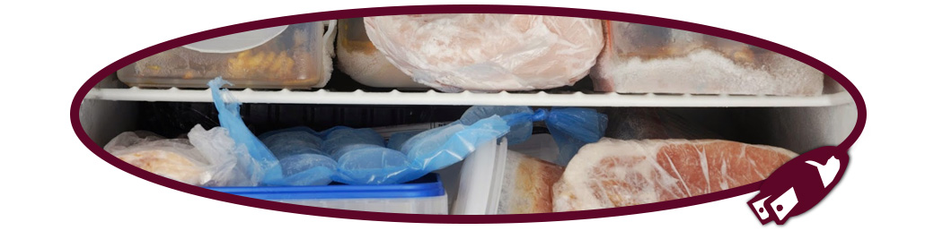 Freezer Repair
