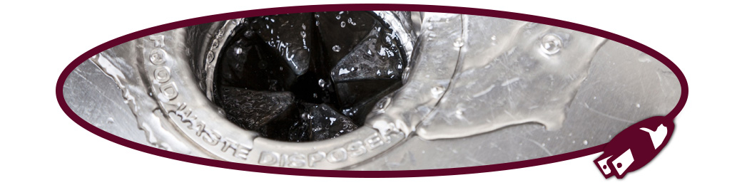 Garbage Disposal Repair