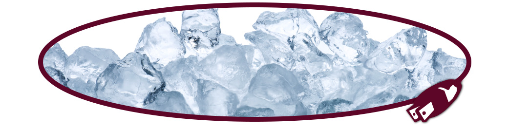 Ice Maker Repair